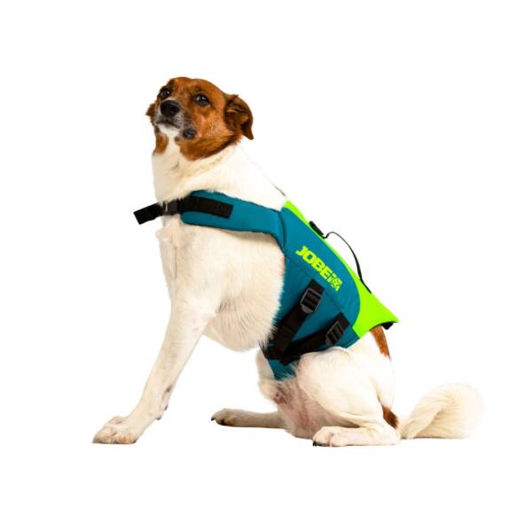 Giubbotto salvagente per cani Jobe Lime teal - immagine 2