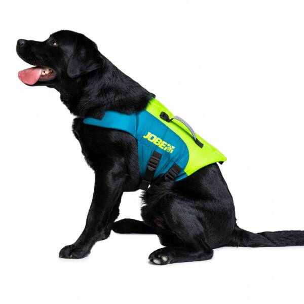 Giubbotto salvagente per cani Jobe Lime teal - immagine 3