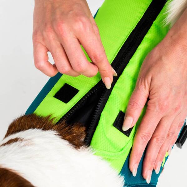 Giubbotto salvagente per cani Jobe Lime teal - immagine 6
