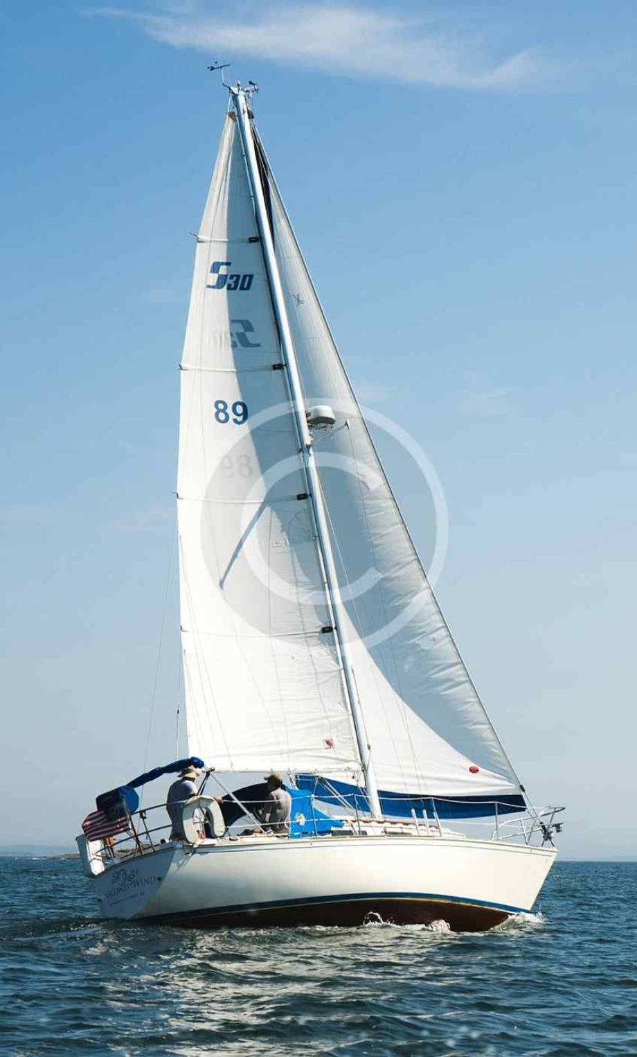 portf6-copyright portf6-copyright